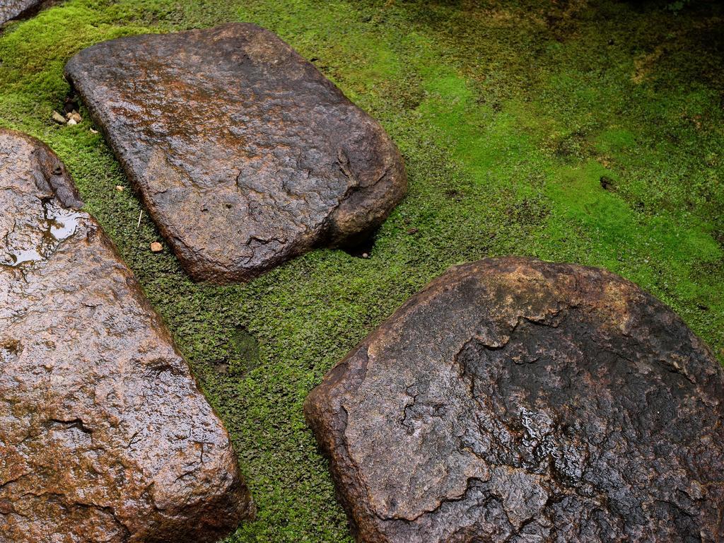 Atamisekitei Annex Sakuragaokasaryo Hotell Atami  Exteriör bild